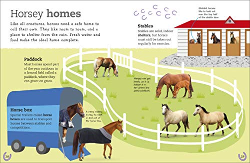 The Everything Book of Horses and Ponies (Everything About Pets)