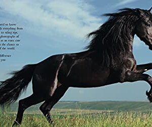 The Book of Horses: The ultimate guide to horses around the world