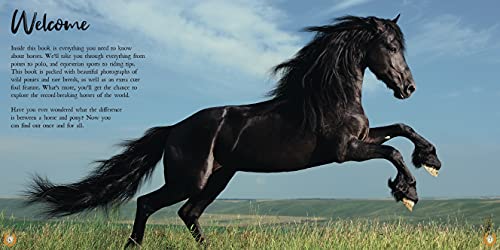 The Book of Horses: The ultimate guide to horses around the world