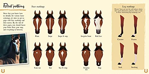 The Book of Horses: The ultimate guide to horses around the world