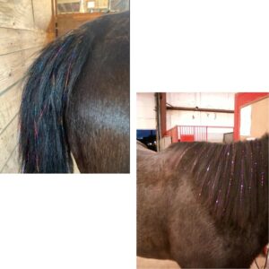 Dielianyi Horse Bling Accessory Mane and Tail Bling Pony Hair Tinsel for Western Bride Horse Lover