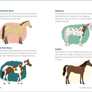 Horse Life: The Ultimate Guide to Caring for and Riding Horses for Kids