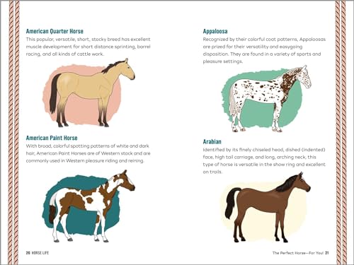 Horse Life: The Ultimate Guide to Caring for and Riding Horses for Kids