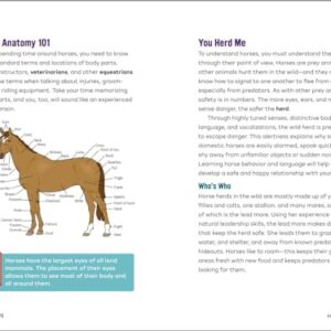 Horse Life: The Ultimate Guide to Caring for and Riding Horses for Kids