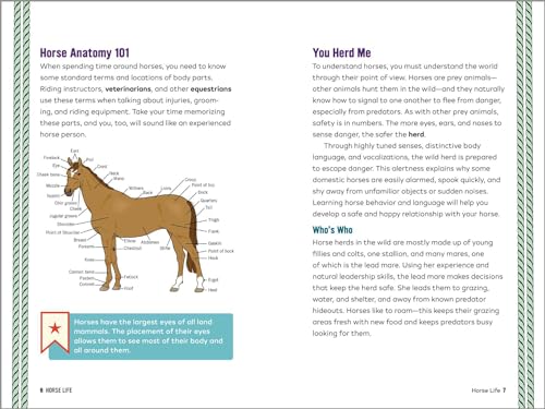 Horse Life: The Ultimate Guide to Caring for and Riding Horses for Kids