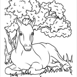 Horses Coloring Book for Kids Ages 4-8: Wonderful World of Ponies & Horses Colouring for Girls and Boys (Coloring Books for Kids)