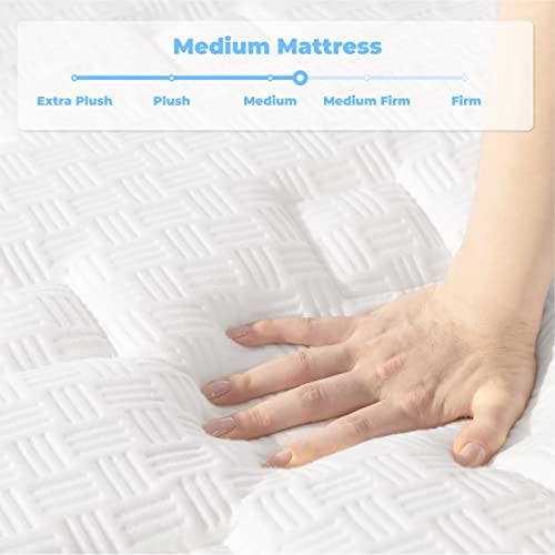 HIMMLINE Queen Mattress, 10 Inch Hybrid Mattress, Gel Memory Foam and Pocket Spring Queen Bed Mattress in a Box, Medium Feel, Cooler Sleep & Pressure Relief, 60”*80”, 120 Nights Risk-Free Trial