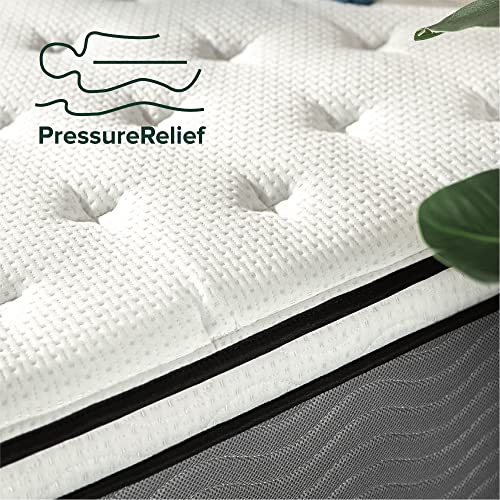 ZINUS 12 Inch Support Plus Pocket Spring Hybrid Mattress, King, Strong Coils for Durable Support, Pocket Innersprings for Motion Isolation, Mattress in A Box