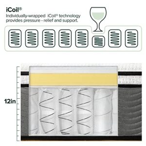 ZINUS 12 Inch Support Plus Pocket Spring Hybrid Mattress, King, Strong Coils for Durable Support, Pocket Innersprings for Motion Isolation, Mattress in A Box