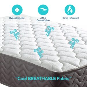 Swiss Ortho Sleep, 12" Inch Memory Foam and Innerspring Hybrid Medium-Firm Plush Mattress/Bed-in-a-Box/Pressure Relieving Bliss, Twin,White