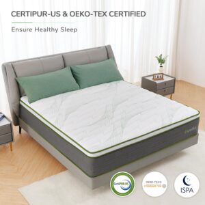 Novilla Full Size Mattress, 10 Inch Hybrid Mattress in a Box with Individually Wrapped Pocket Coils & Memory Foam, Supportive & Pressure Relief, Breathable Mattresses Full,Medium Firm, vigour