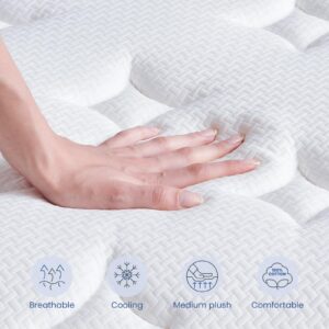 Dourxi Queen Mattress, 12 Inch Hybrid Queen Size Memory Foam Mattress in a Box, Individually Pocket Spring for Pressure-Relief and Supportive, Non-Fiberglass Mattressess - Medium