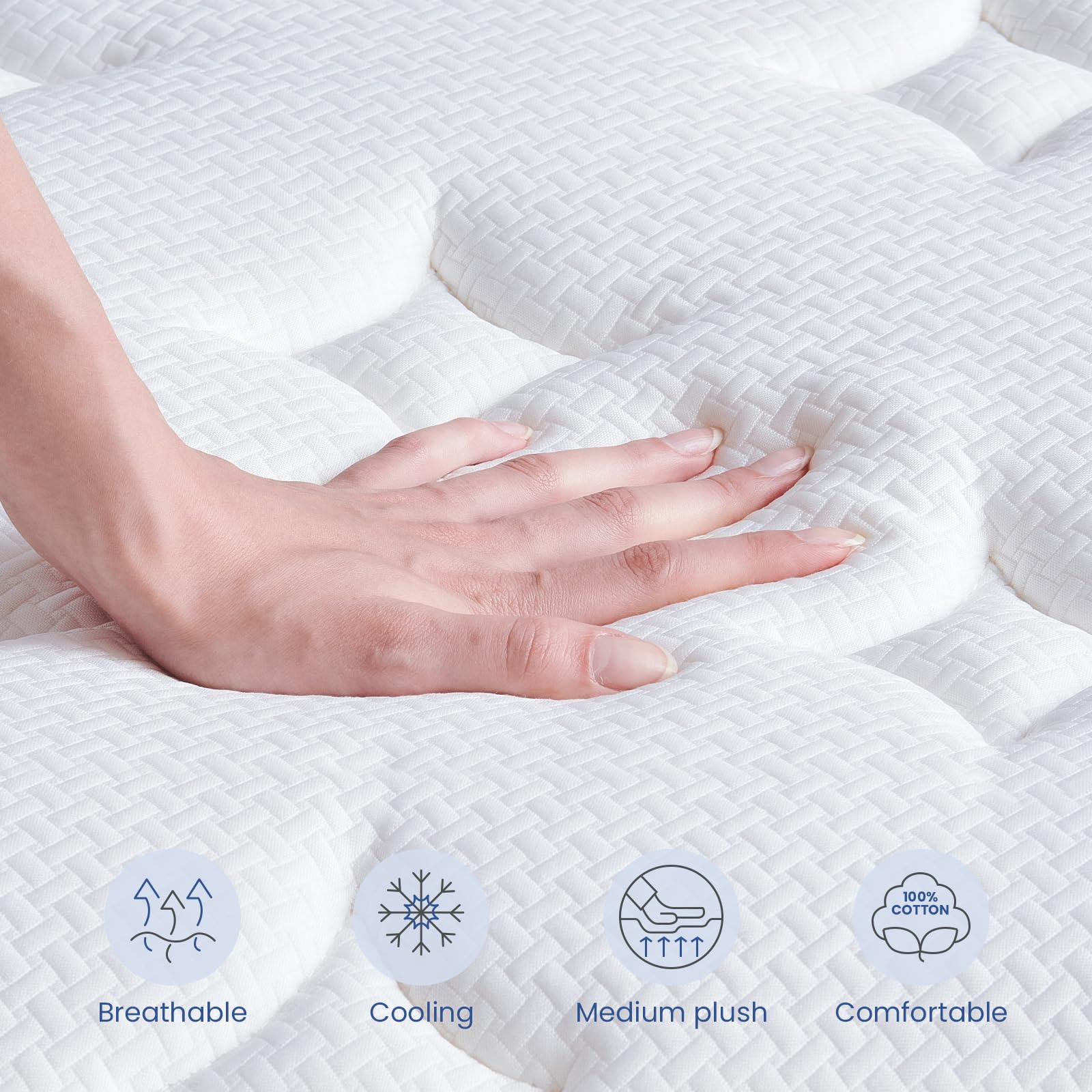 Dourxi Queen Mattress, 12 Inch Hybrid Queen Size Memory Foam Mattress in a Box, Individually Pocket Spring for Pressure-Relief and Supportive, Non-Fiberglass Mattressess - Medium