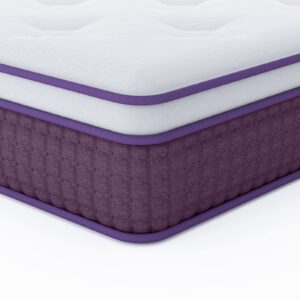 REGOSS Queen Mattress, 10 Inch Hybrid Queen Mattress with Plush Foam and Individually Pocketed Coils, Queen Size Mattress in a Box, Medium Soft Motion Isolation for Pressure Relief