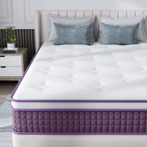 REGOSS Queen Mattress, 10 Inch Hybrid Queen Mattress with Plush Foam and Individually Pocketed Coils, Queen Size Mattress in a Box, Medium Soft Motion Isolation for Pressure Relief