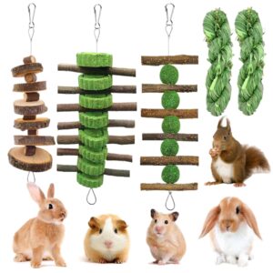 grembeb 5pcs rabbit toys,bunny chew treat for teeth grinding,hanging timothy hay ball +apple stick wood +alfalfa grass cake food snack for cage guinea pig chinchilla hamster squirrel gerbil rat parrot