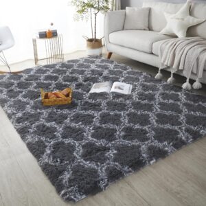 Poboton 2X3 Grey Carpet for Living Room Soft Luxury Bedroom Large Fluffy Plush Area Rug Shaggy Big Comfy Carpet