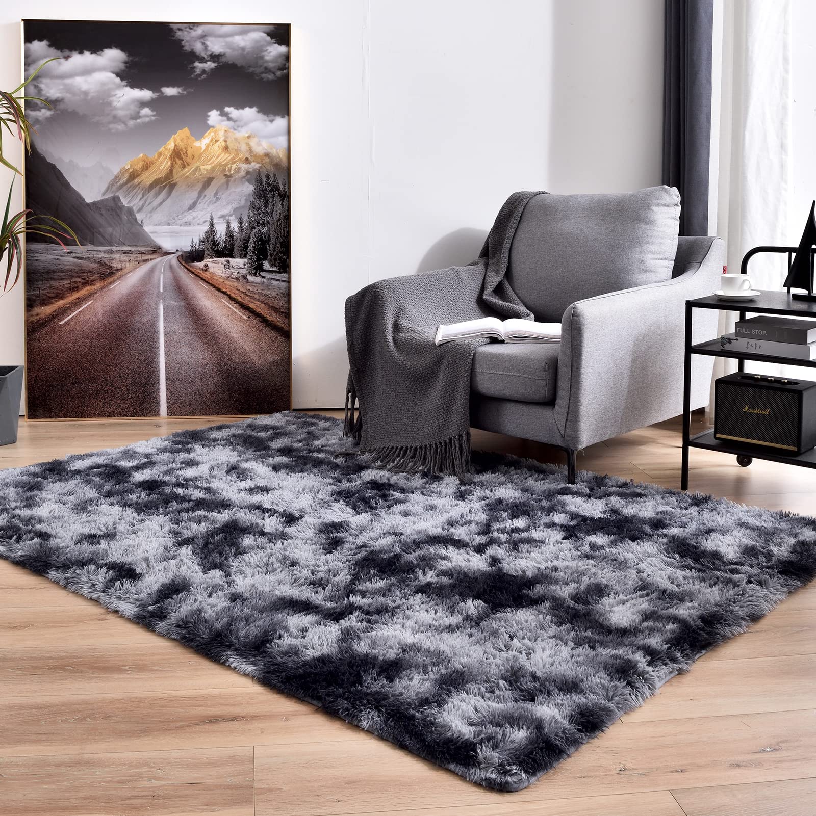 Temedara 3x5 Feet Area Rug,Non-Slip Shag Rugs for Bedroom,Small Fluffy Plush Rugs for Living Room,Tie-Dyed Dark Grey Shaggy College Dorm Room Rug,Modern Fuzzy Carpet for Kids Boys Room