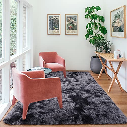 QXKAKA Soft Tie Dye Dark Grey 4x6 Area Rugs for Living Room Bedroom, Shag Shaggy Floor Rug Fuzzy Fluffy Carpet Soft Plush Furry Rug, Machine Washable Large Rug for Kids Home Decor Aesthetic