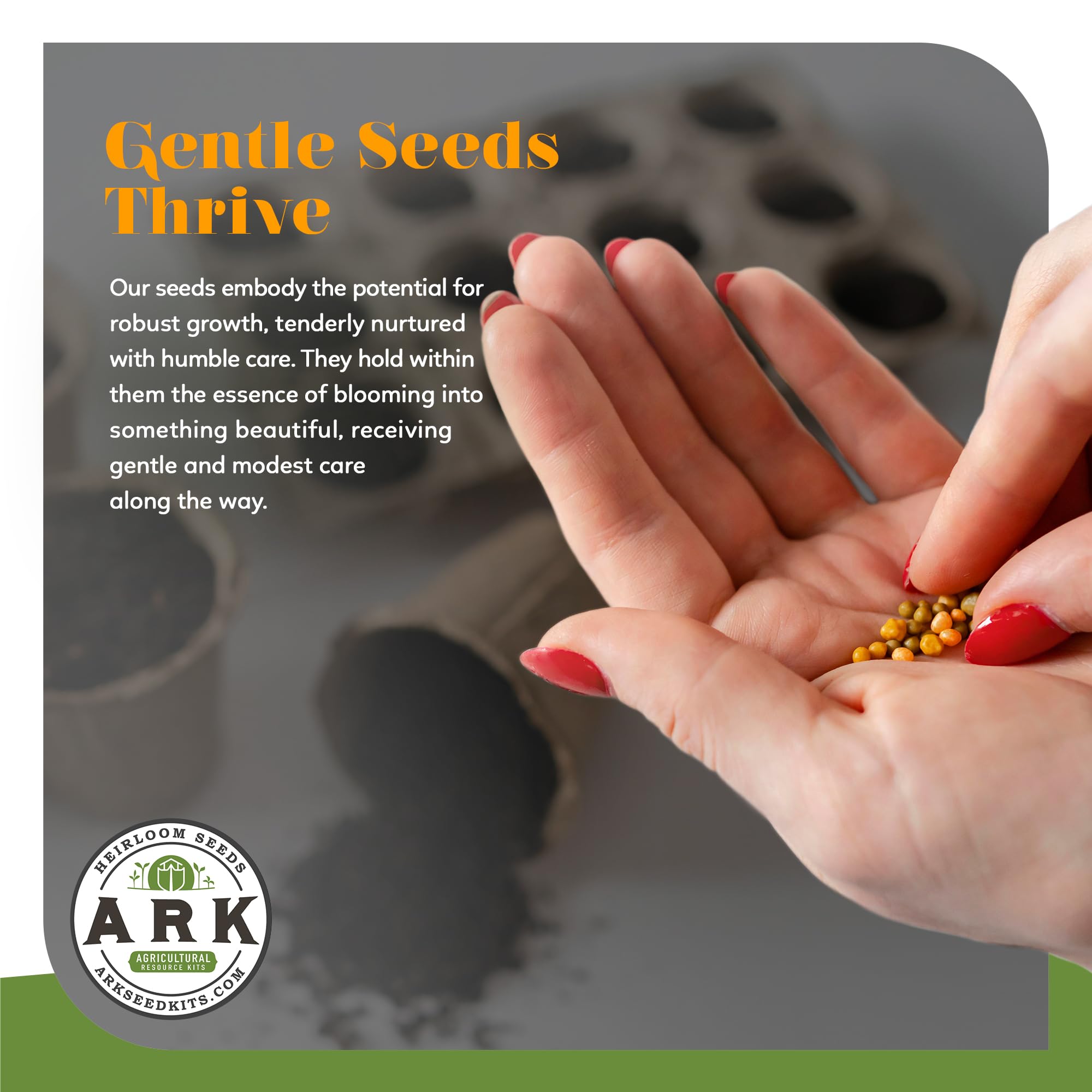 Ark Seed Kits: Organic Heirloom Seed Kit - 70+ Varieties, 50,000+ Seeds - Broccoli, Spaghetti Squash & More for Your Flourishing Haven