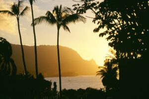 posterazzi hawaii kauai hanalei bay bali hai yellow sunset through palm trees and vegetation poster print, (19 x 12)