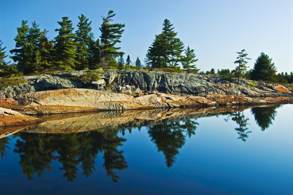 Posterazzi Tree's Reflection In Water Georgian Bay Ont Poster Print, (36 x 24)