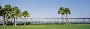 posterazzi palm trees on the coast background coronado bay bridge san diego county california usa poster print, (18 x 6)