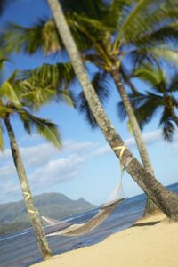 posterazzi usa hawaii islands kauai hammock tied between palm trees on sandy beach hanalei bay princeville poster print, (24 x 38)