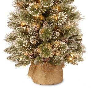 National Tree Company Pre-lit Artificial Mini Christmas Tree | Includes Small White LED Lights, White Tipped Cones, Glitter Branches Pine Cones and Cloth Bag Base | Glittery Bristle Pine - 3 ft