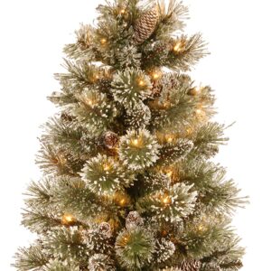 National Tree Company Pre-lit Artificial Mini Christmas Tree | Includes Small White LED Lights, White Tipped Cones, Glitter Branches Pine Cones and Cloth Bag Base | Glittery Bristle Pine - 3 ft