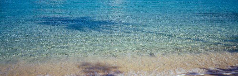 Posterazzi Shadow of trees on water Hawksnest Bay National Park St John US Virgin Islands Poster Print, (27 x 9)