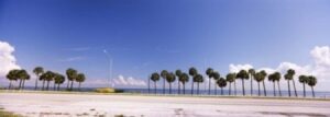 posterazzi palm trees at the roadside interstate 275 tampa bay gulf of mexico florida usa poster print, (36 x 13)