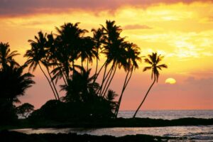 posterazzi hawaii big island wailua bay view of palm trees at sunset calm ocean waters poster print, (19 x 12)