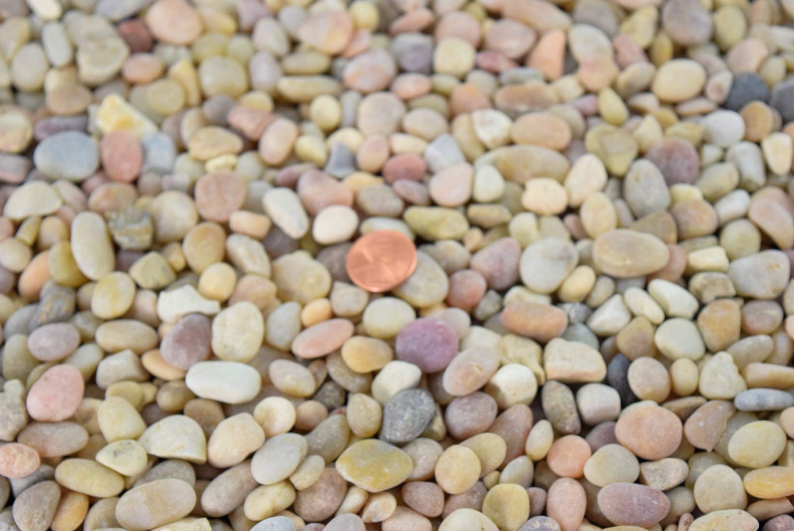 9 Lbs Large Salmon Bay Pebbles for Bonsai Tree Humidity Tray, Lucky Bamboo, Aquarium & Zen/Fairy Garden