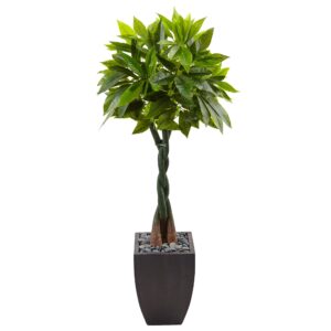 Nearly Natural 5ft. Money Artificial Tree in Black Square Planter