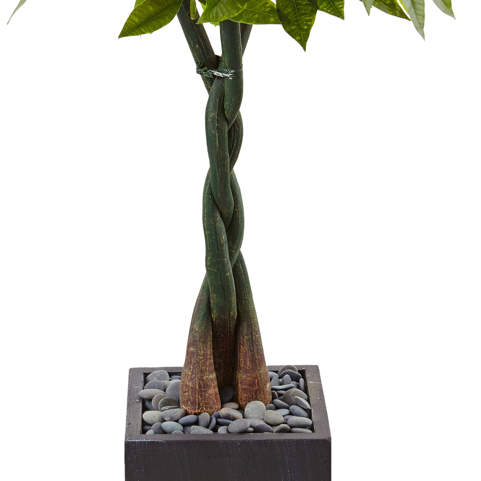 Nearly Natural 5ft. Money Artificial Tree in Black Square Planter