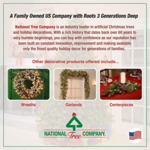 National Tree Company Pre-Lit Artificial Mini Christmas Tree, Green, Dunhill Fir, White Lights, Includes Stand, 4.5 Feet