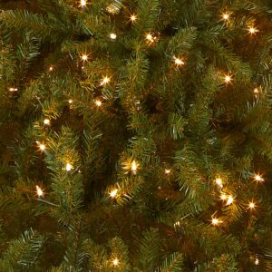 National Tree Company Pre-Lit Artificial Full Christmas Tree, Green, Dunhill Fir, White Lights, Includes Stand, 7.5 Feet