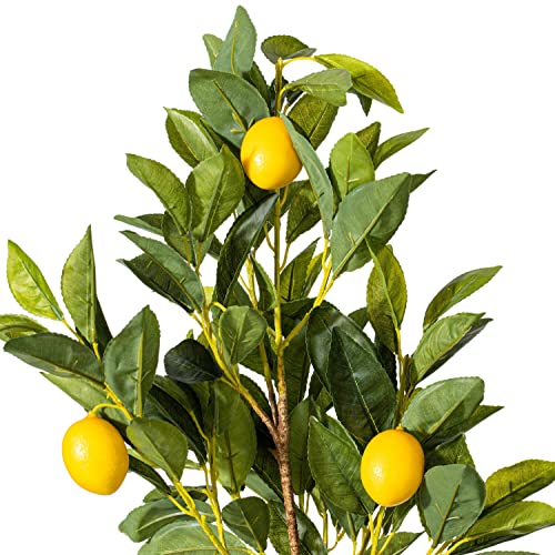 Vickerman Everyday 28" Artificial Potted Lemon Tree - Lifelike Home Or Office Decor - Premium Faux Potted Tree with Real Touch Leaves - Maintenance Free