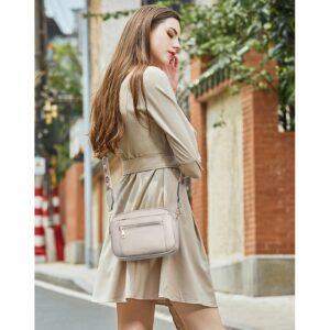 Telena Crossbody Purse for Women Small Crossbody Bags Trendy Vegan Leather with Adjustable Shoulder Strap Grey