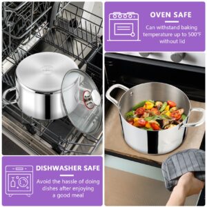 P&P CHEF Tri-Ply Stainless Steel Stockpot (5 QT), Large Stock pot with Visible Lid for Soup Pasta Vegetable, Induction Cooking Pot for All Stoves, Heavy-Duty Pot with Double Handle, Dishwasher Safe