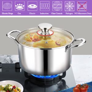 P&P CHEF Tri-Ply Stainless Steel Stockpot (5 QT), Large Stock pot with Visible Lid for Soup Pasta Vegetable, Induction Cooking Pot for All Stoves, Heavy-Duty Pot with Double Handle, Dishwasher Safe