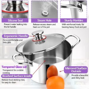 P&P CHEF Tri-Ply Stainless Steel Stockpot (5 QT), Large Stock pot with Visible Lid for Soup Pasta Vegetable, Induction Cooking Pot for All Stoves, Heavy-Duty Pot with Double Handle, Dishwasher Safe