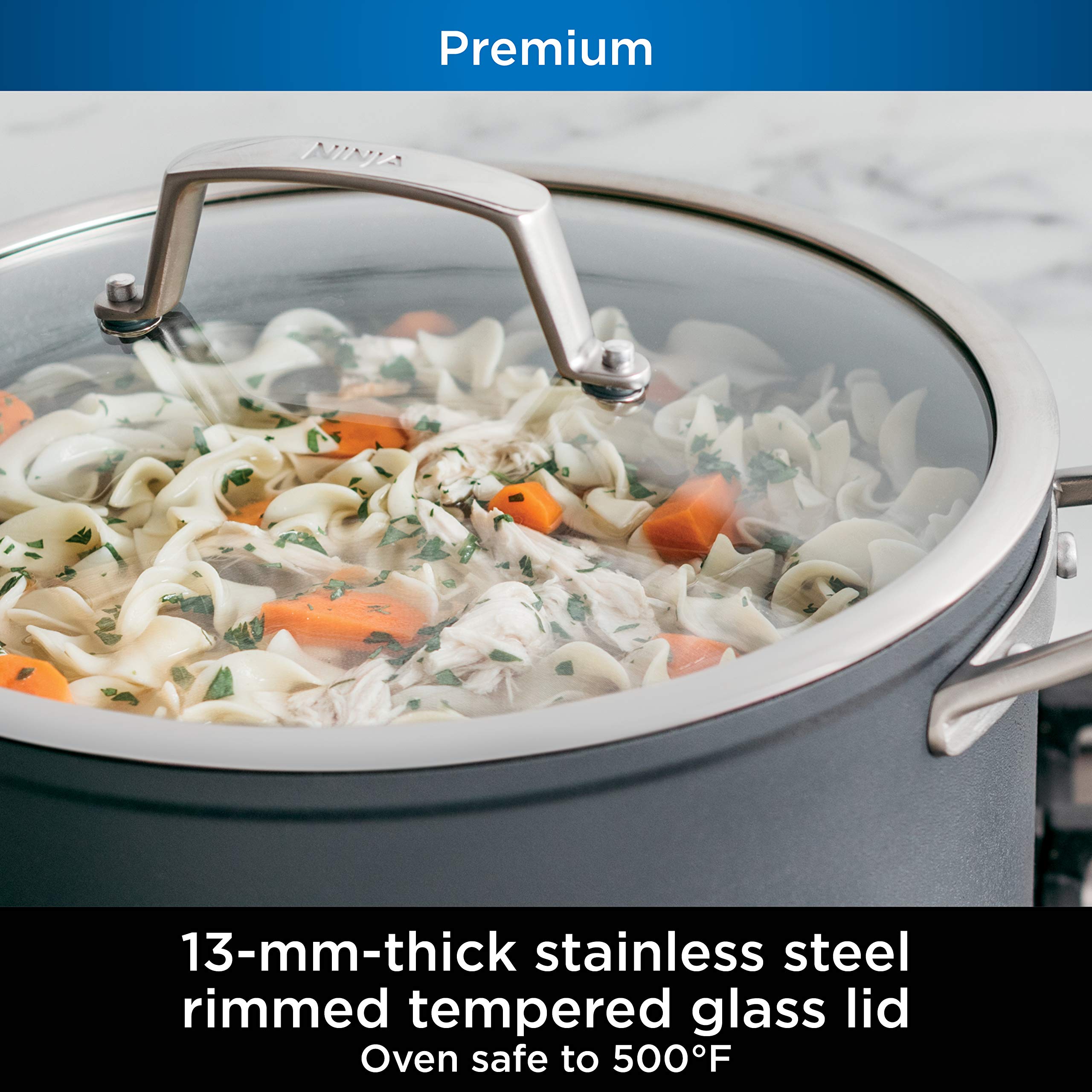 Ninja C30480 Foodi NeverStick Premium 8-Quart Stock Pot with Glass Lid, Hard-Anodized, Nonstick, Durable & Oven Safe to 500°F, Slate Grey