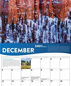 2021 National Park Foundation Wall Calendar: A 12-Month Nature Calendar & Photography Collection (Monthly Calendar)