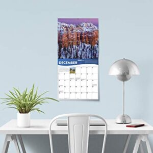 2021 National Park Foundation Wall Calendar: A 12-Month Nature Calendar & Photography Collection (Monthly Calendar)