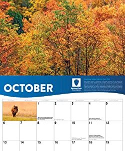 2024 National Park Foundation Wall Calendar: 12-Month Nature Calendar & Photography Collection (Monthly Calendar)