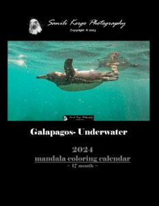 galapagos- underwater: sanili kergo photography, 2024 calendar