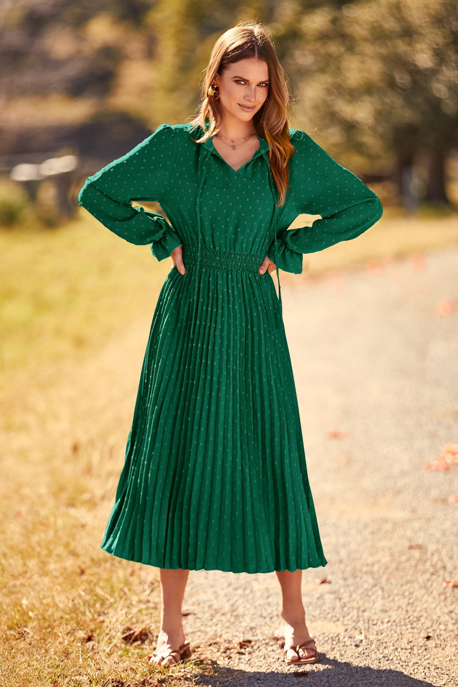 PRETTYGARDEN Women's 2024 Fall Midi Dress Casual Long Sleeve V Neck Swiss Dot Pleated A Line Flowy Dresses (Dark Green,Large)