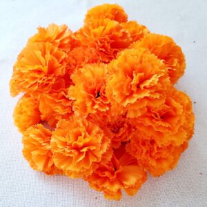 TRvancat Marigold Flowers Heads Bulk, Silk Artificial Flowers for Diwali,Indian Festival, DIY Marigold Garland Day of The Dead Decorations (Orange)